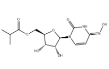 Molnupiravir