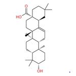 Oleanic acid; Ligustrum lucidum Ext