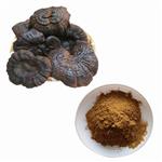 Reishi