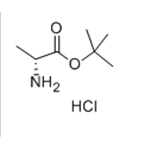 D-Alanine tert-butyl ester hydrochloride