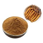 Fermented Cordyceps powder