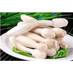 Coprinus Comatus Extract