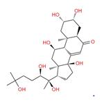 Turkesterone