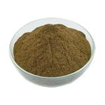 Chaga extract