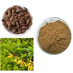 Forsythia powder