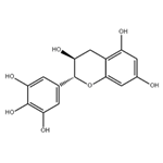 (+)-GALLOCATECHIN