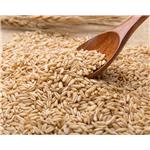 Oat Beta Glucan