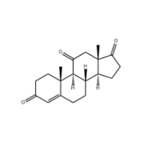 Adrenosterone