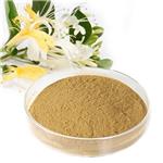 Chlorogenic Acid Honegsukle Flower extract