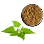 Urtica cannabina P.E