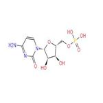 Cytidine 5’-monophosphate