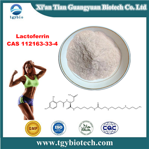 Lactoferrin