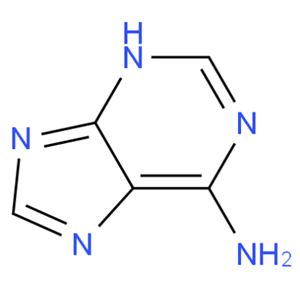 Adenine