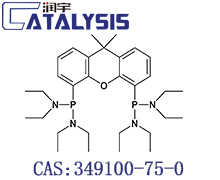 P,P′-(9,9-Dimethyl-9H-xanthene-4,5-diyl)bis[N,N,N′,N′-tetraethyl-phosphonous diamide]