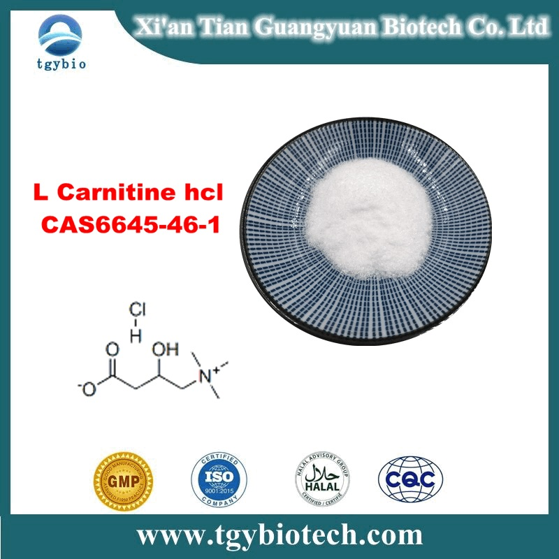 Carnitine hydrochloride