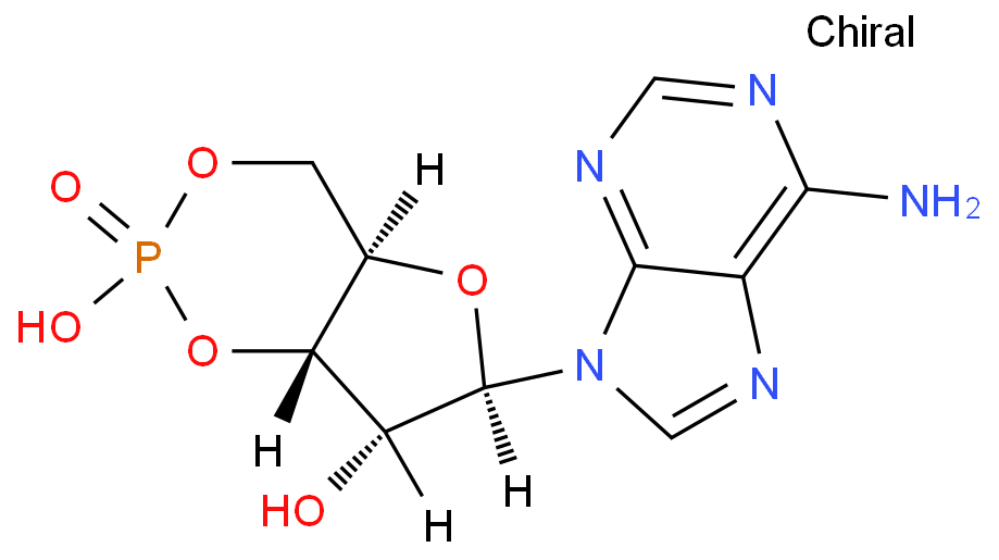 Adenosine 3',5'-cyclic monophosphate；Cyclic AMP； 3:5-CAMP；3',5'-CYCLIC AMP