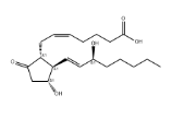 Prostaglandin E2