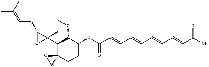 Fumagillin