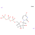 Uridine 5'-triphosphate disodium salt,UTP,UTP-Na2; 5'-UTP-Na2