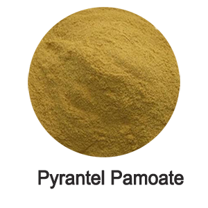 Pyrantel Pamoate