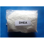 Dehydroepiandrosterone