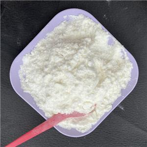 SODIUM POLYGLUTAMATE