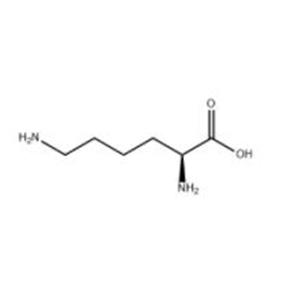 L-Lysine Base