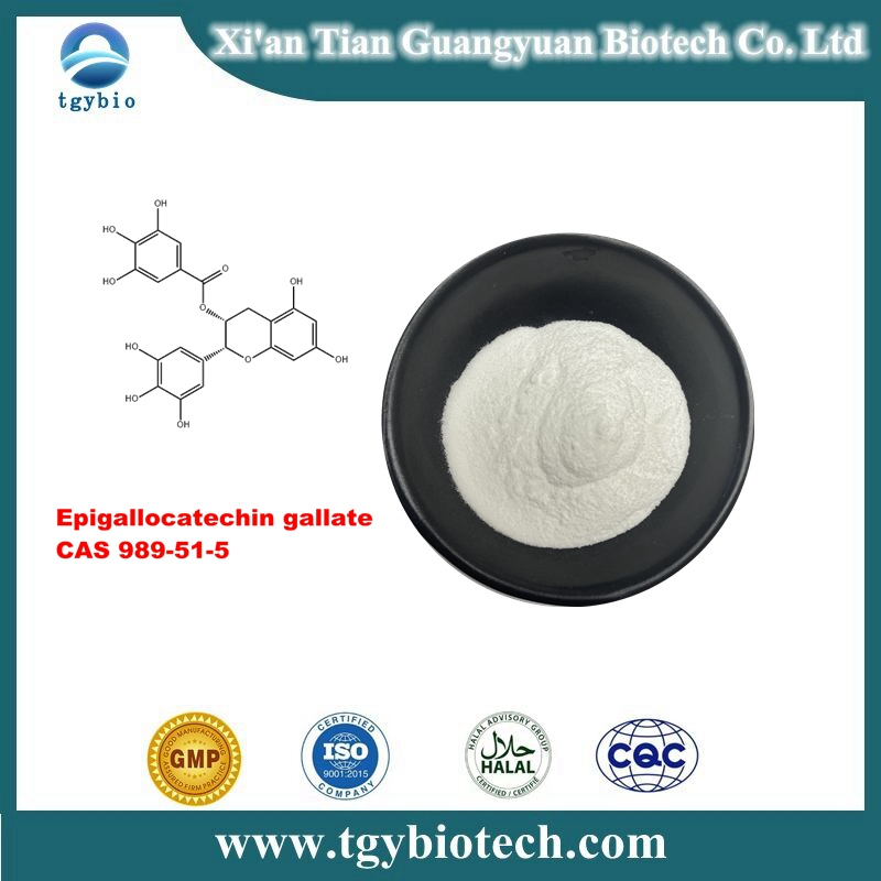 Epigallocatechin gallate； EGCG