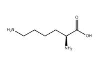 L-Lysine Base