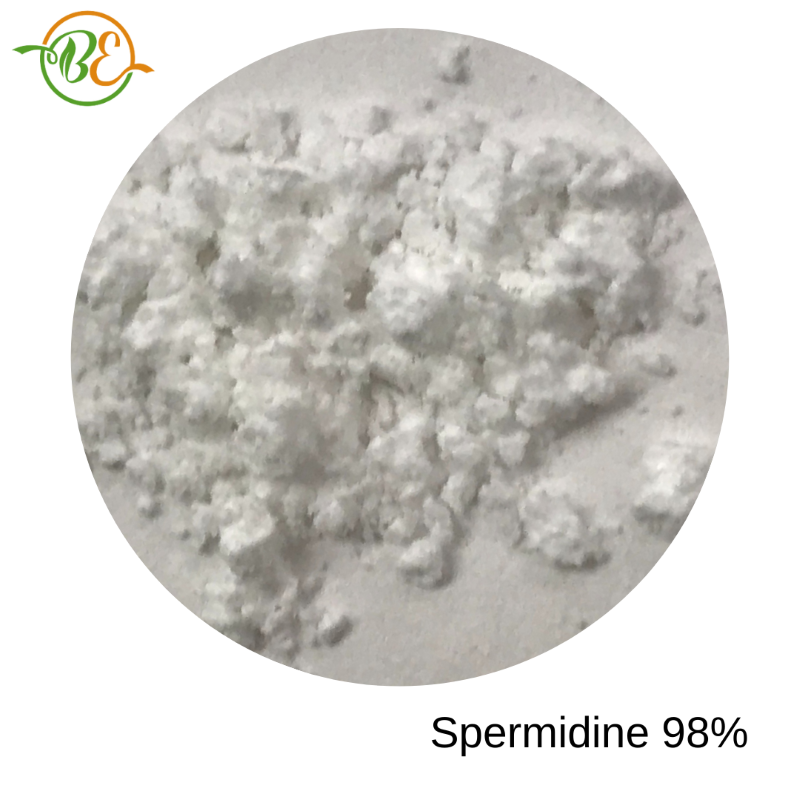 Spermidine