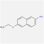 2-AMINO-6-ETHOXYNAPHTHALENE