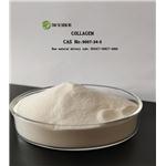 COLLAGEN