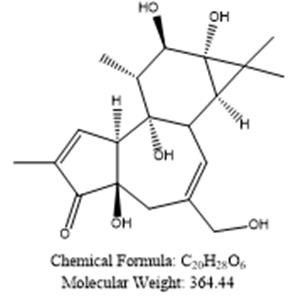 Phorbol 