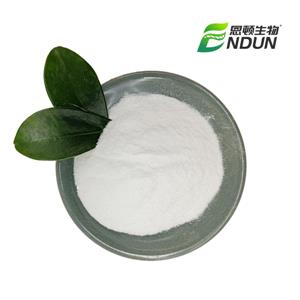 Benzocaine hydrochloride