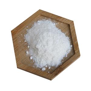 Ampicillin Sodium