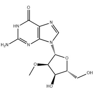 2'-O-Methylguanosine