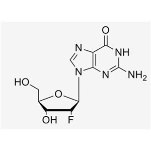 2'-F-2'-deoxyguanosine；2‘-F-dG