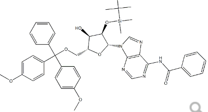 5’-O-DMT-2’-O-TBDMS-N6-Benzoyl-Adenosine