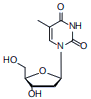 β-Thymidine(2'-dT)