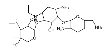 Etimicin