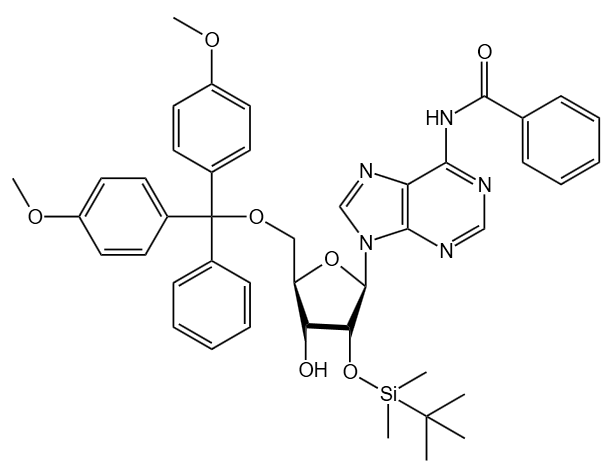 5’-O-DMT-2’-O-TBDMS-N6-Acetyl-Adenosine