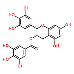 tea polyphenol