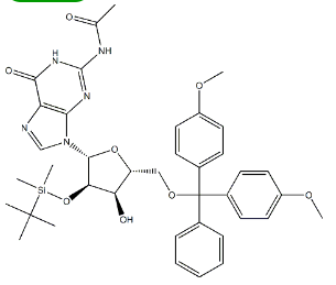 5’-O-DMT-2’-O-TBDMS-N2-Acetyl-Guanosine