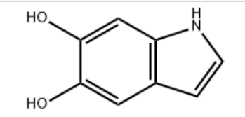 5,6-DIHYDROXYINDOLE