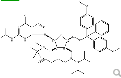 2'-O-TBDMS-G(Ac) CE Phosphoramidite