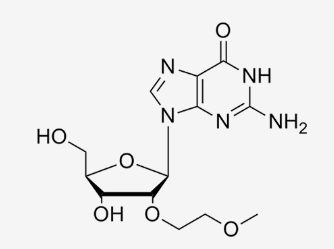 2'-O-(2-Methoxyethyl)-Guanosine；2’-MOE-G