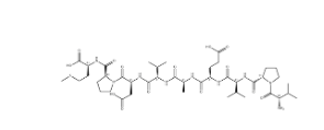 V-9-M cholecystokinin nonapeptide