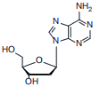 2‘-dU/ 2'-Deoxyuridine