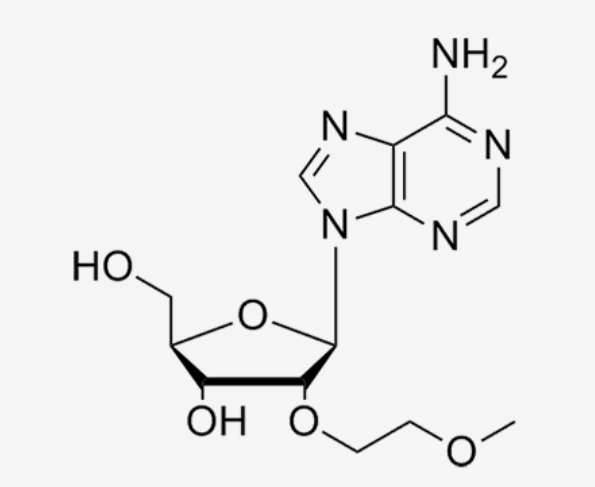 2'-O-(2-Methoxyethyl)-Adenosine；2’-MOE-A