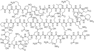 TB500（Thymosin Beta 4）